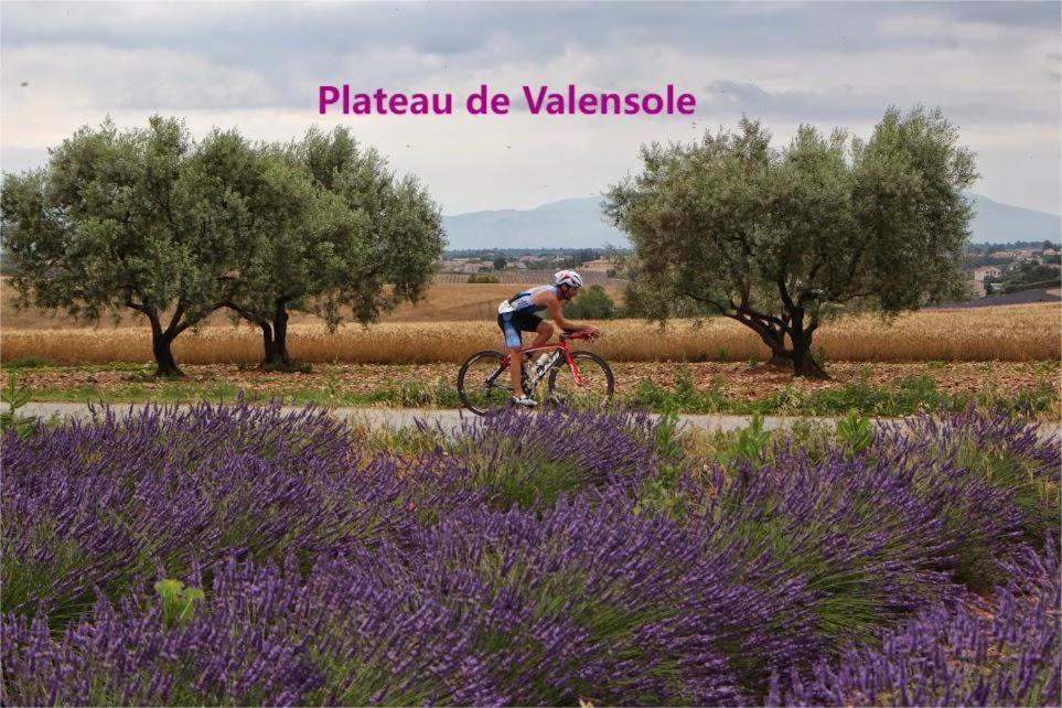 Spacieux T3 Avec Piscine Digne-les-Bains Esterno foto